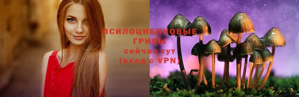 2c-b Иннополис