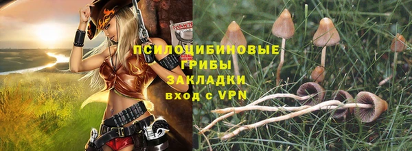 2c-b Иннополис