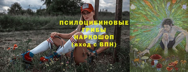 дживик Инсар